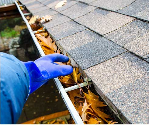 Gutter Cleaning Services