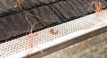 Understanding Gutter Guards and Screens: Their Role in Home Maintenance